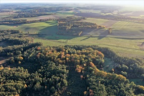 Neustadt Fürstensee aus nördlicher Vogelperspektive. Die Stadtwüstung liegt im herbstlich gefärbten ovalen Waldstück vorn; dahinter im Mittelgrund ein Damm durch die Flussniederung, im Mittel alter eine wichtige Verkehrsverbindung.