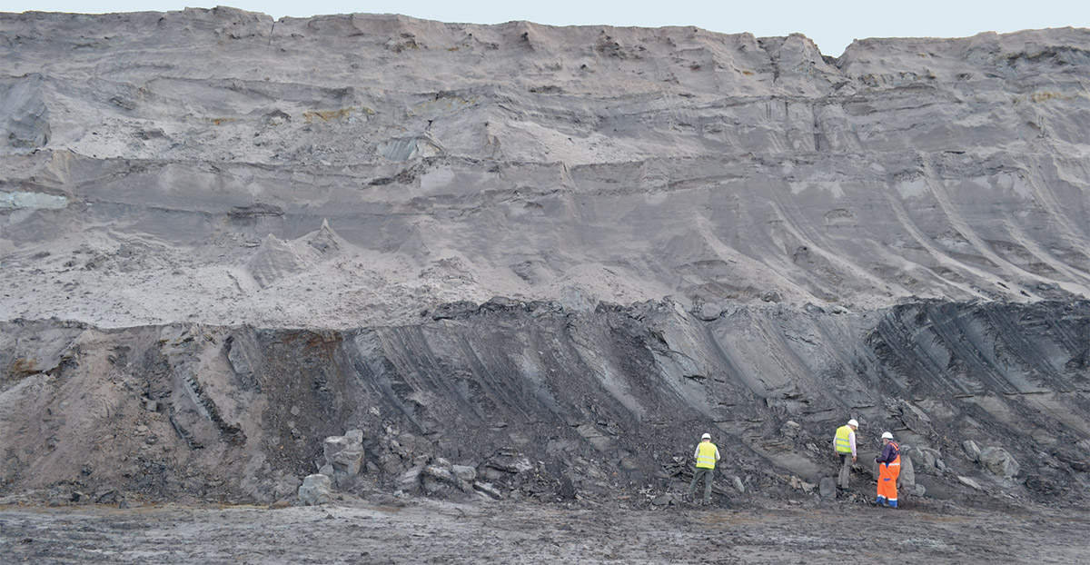 Bergen von Fossilien und Dokumentieren einer Fundstelle im Braunkohlentagebau Hambach, Neogen, mittleres Miozän.