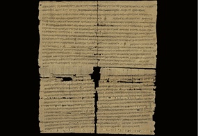 Abb. 1 Der Papyrus (P.Eleph. 1) mit Angaben zum Exponat dem sog. Ehevertrag von Elephantine.