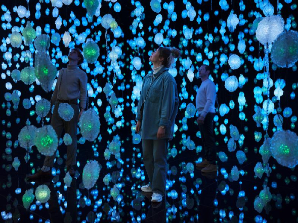 Pipilotti Rist, „Pixelwald Wisera“ in der Kunsthalle Bremen