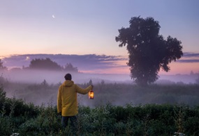 Ein Mann steht in der nebligen Morgendämmerung mit einer Laterne vor einem Baum