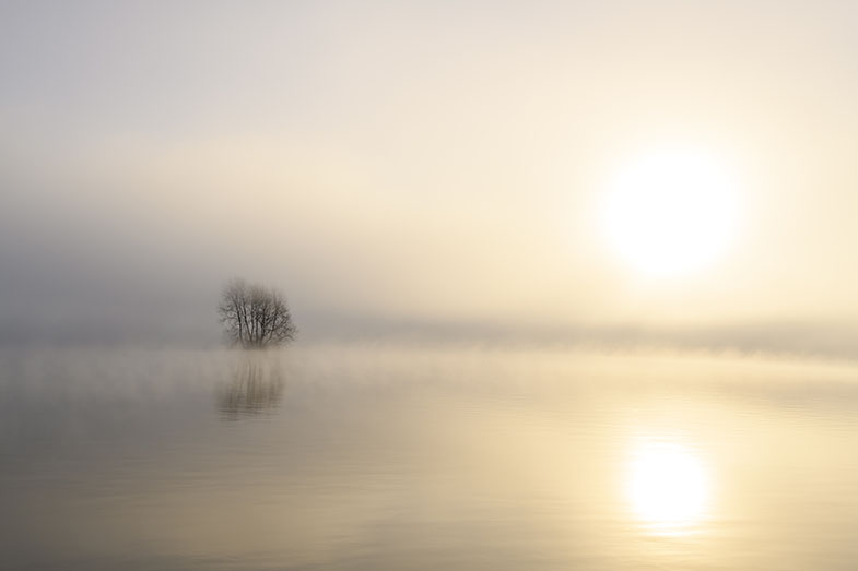 Nebel steigt über der IJssel auf an einem kalten Wintermorgen in den Niederlanden. Der Wasserstand ist hoch, und auf den Deichen am Ufer des Flusses liegen Schnee und Eis an diesem wunderschönen Morgen bei Sonnenaufgang