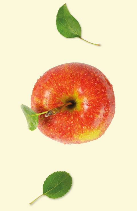 Apfel