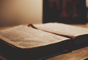 Die Bibel Die Bucher Des Alten Und Neuen Testaments