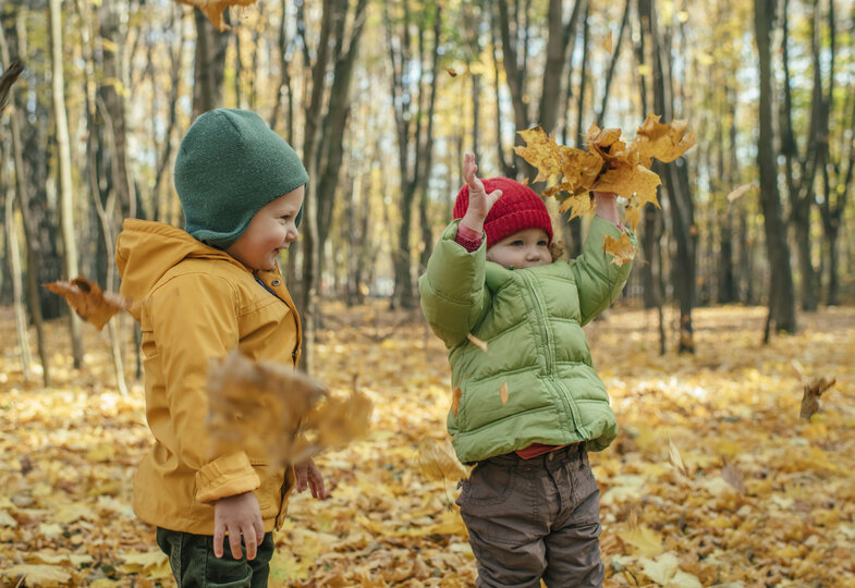 Der Herbst steht auf der Leiter