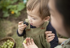 Erntedank in de Krippe