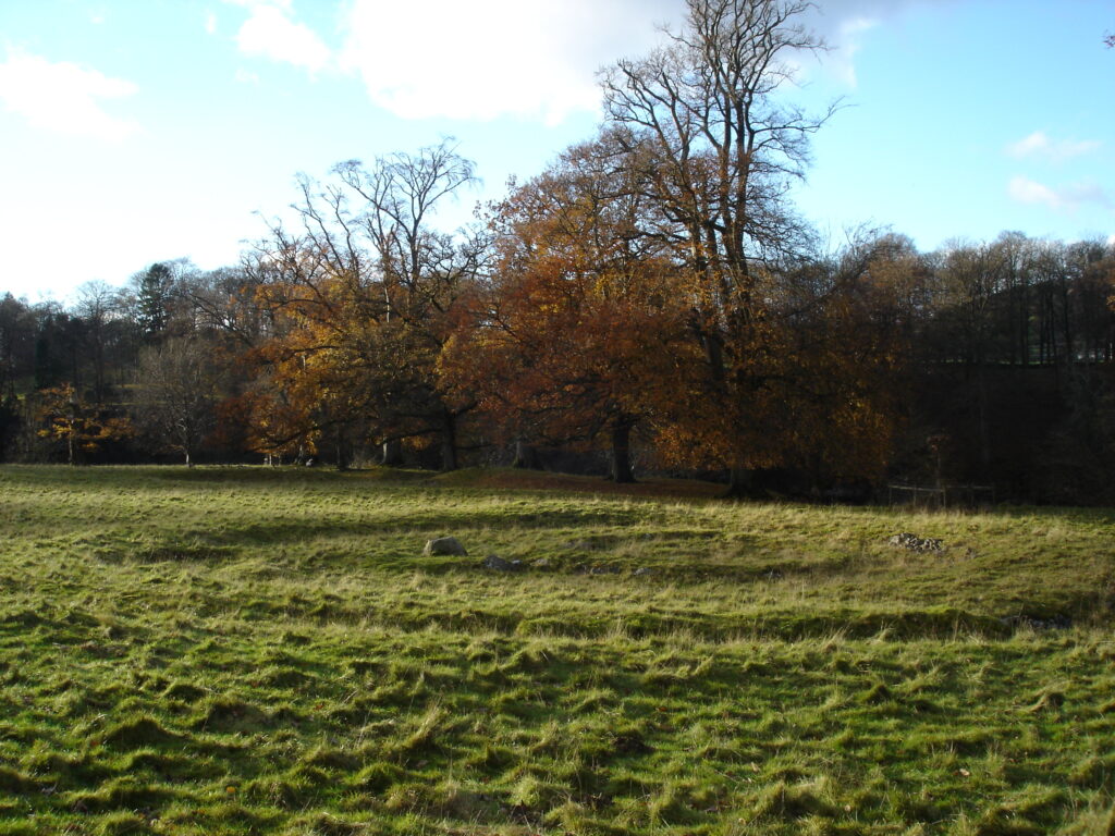 Ringwall-Grabanlage Levens Park in Cumbria, Großbritannien. Rechts von dem einzelnen großen Felsbrocken befindet sich ein kreisförmiger, halbrunder Ring mit drei 4000 Jahre alten Frauenbestattungen, von denen eine die in dieser Studie sequenzierte Yersinia pestis-DNA trug.