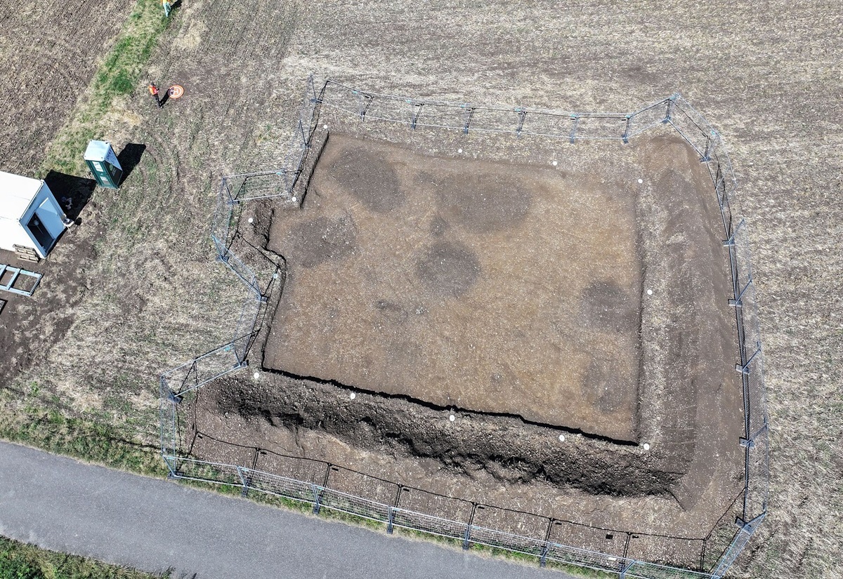 Eine der Grabungsflächen von 2024 im keltischen Oppidum von Altenburg-Rheinau: Nach dem Abtrag des Oberbodens zeigen sich große Vorratsgruben als Verfärbung