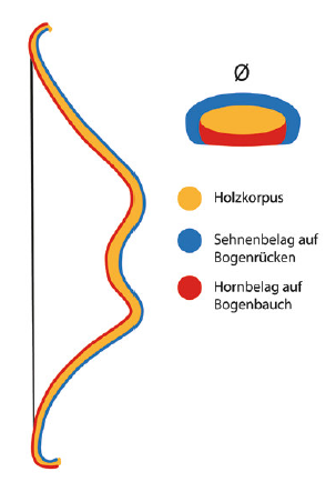 Kompositreflexbogen: eine Schematische Darstellung im Querschnitt.