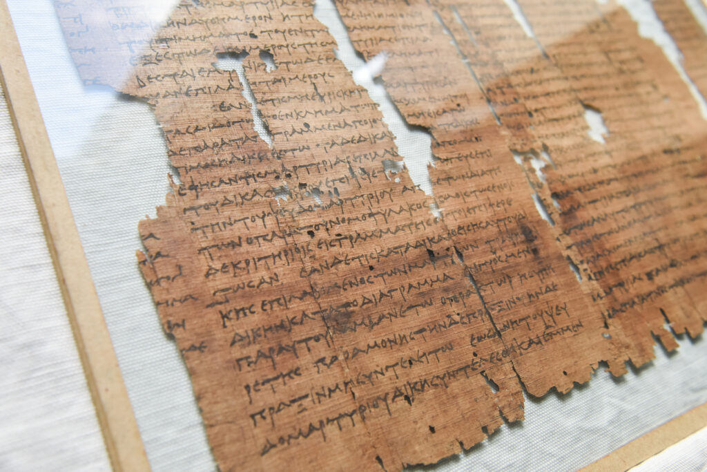 Ägypten / Papyrus / Foto: Uni Halle / Markus Scholz