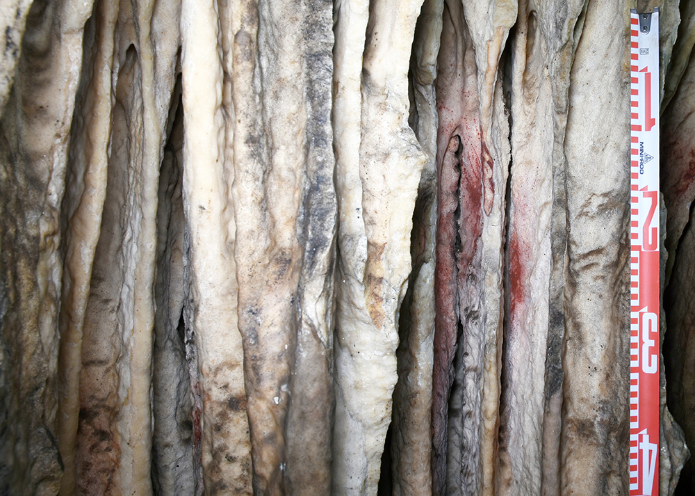 Farbapplikationen des Neanderthalers in de Cueva de Ardales.