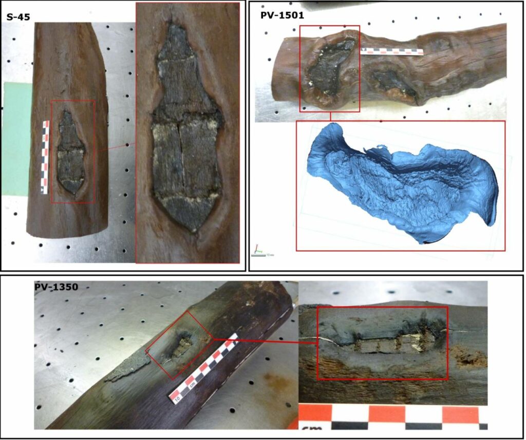 Allgemeine und detaillierte Darstellung der auf den Lorbeersäulen von La Draga identifizierten anthropischen Zeichen.