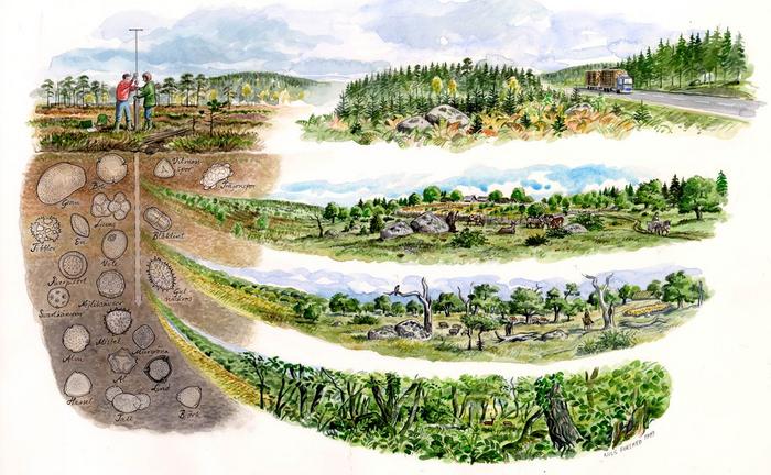 Skizze Archäologen nehmen Pollenproben zur Analyse