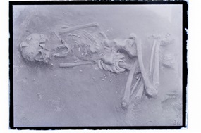 Ein Foto der antiken menschlichen Überreste, die in den Hirota-Ruinen gefunden wurden. Ein bemerkenswertes Merkmal der Überreste ist das Tragen zahlreicher Muschel-Accessoires, die auf die damalige Kultur und den Handel in der Region hinweisen. (Museum der Universität Kyushu)