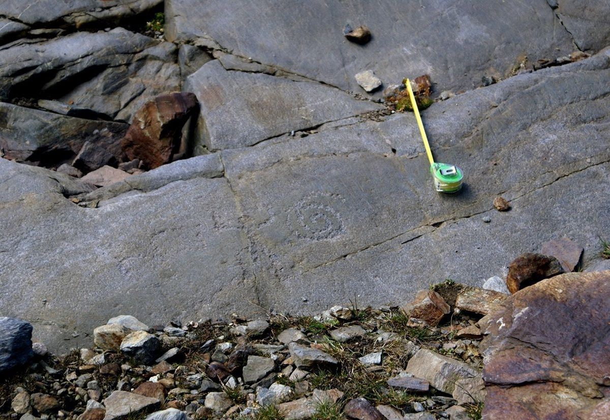 Einige der Petroglyphen vom Pizzo Tresero im Nationalpark Stilfser Joch