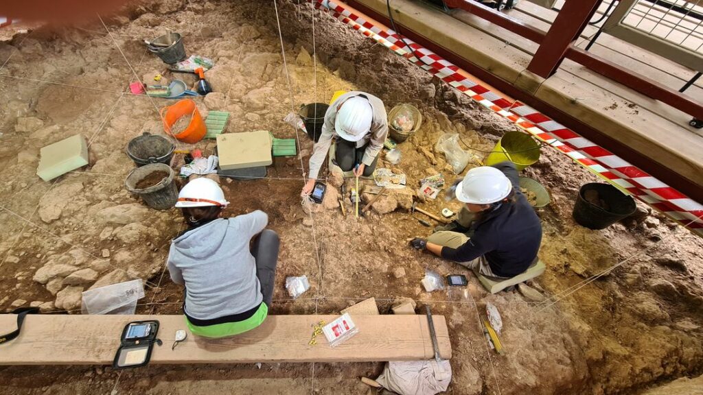 Ausgrabung in der cueva de las Teixoneres; Nachweis von Kannibalismus