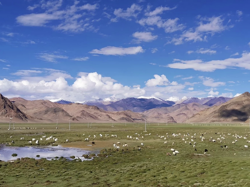 Modernes Weideland auf dem Plateau des Hochlandes von Tibet. 