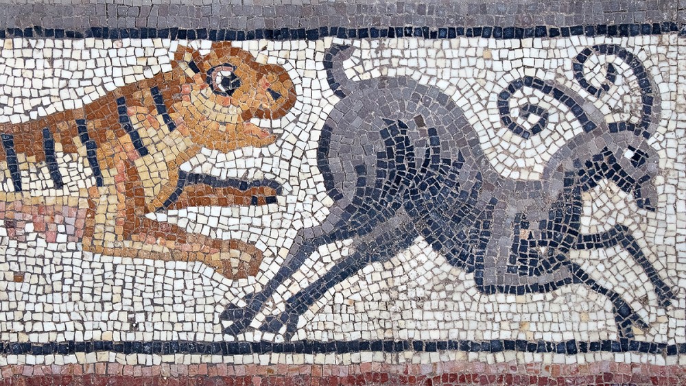 Tiger jagt Steinbock. Dekoratives Mosaik der Huqoq-Synagoge in Israel. (Foto von Jim Haberman)