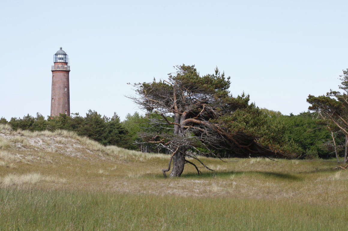 Leuchtturm am NATUREUM Darßer Ort