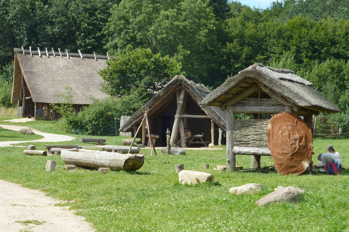 Steinzeitpark Dithmarschen