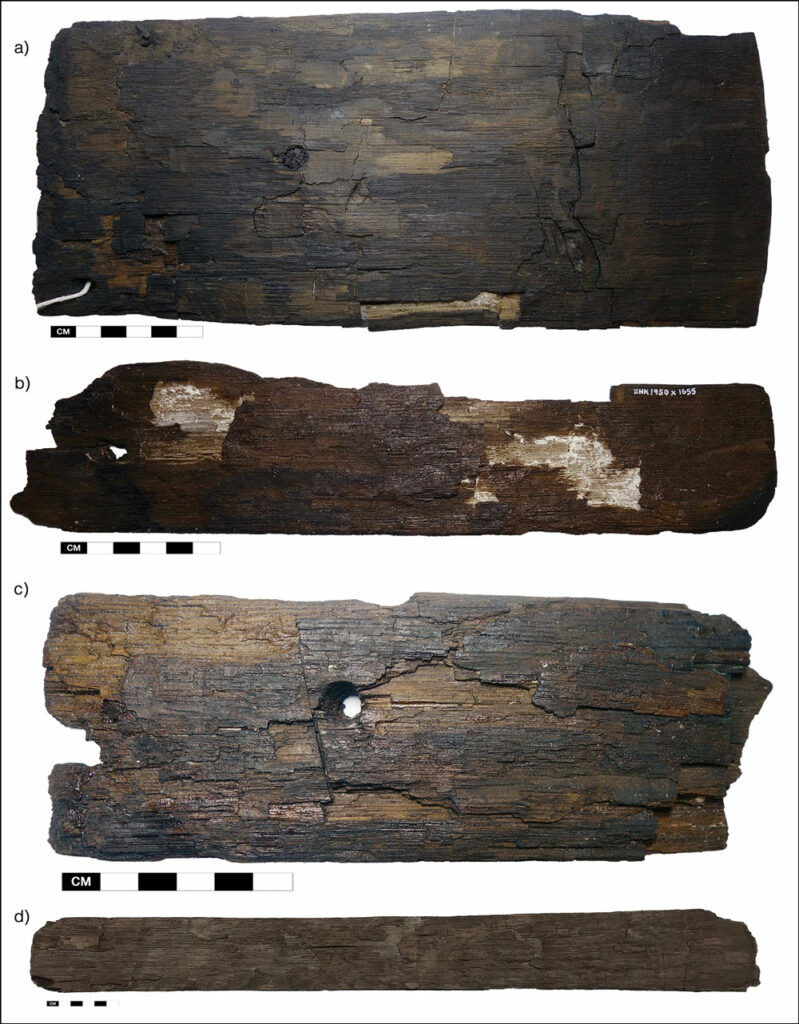 Holzfunde aus Grönland