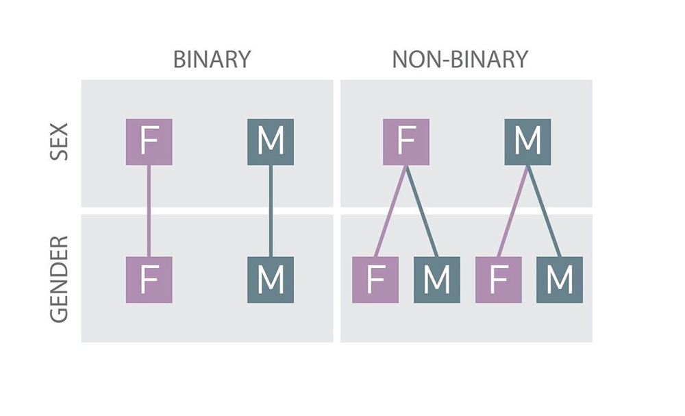 Modell zur binären (binary) und nicht-binären (non-binary) Geschlechterordnung (Sex: biologisches Geschlecht, Gender: soziales Geschlecht, F: female/feminine/weiblich, M: male/masculine/männlich).