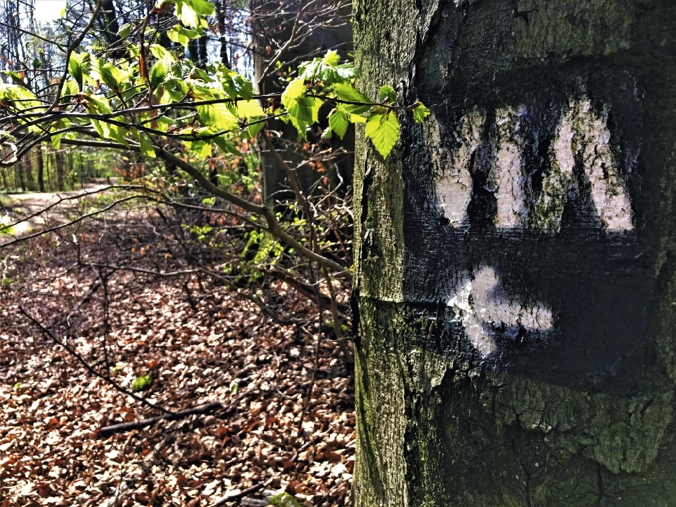 Das Piktogramm »VIA« auf Stelen und Bäumen hält Wanderer und Radfahrer auf der Route der Via Belgica.