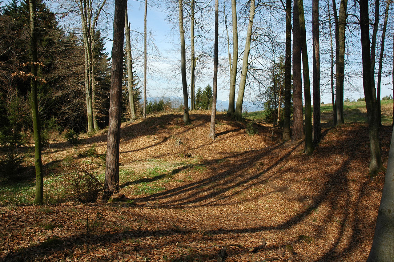 Iron Age Danube Route.