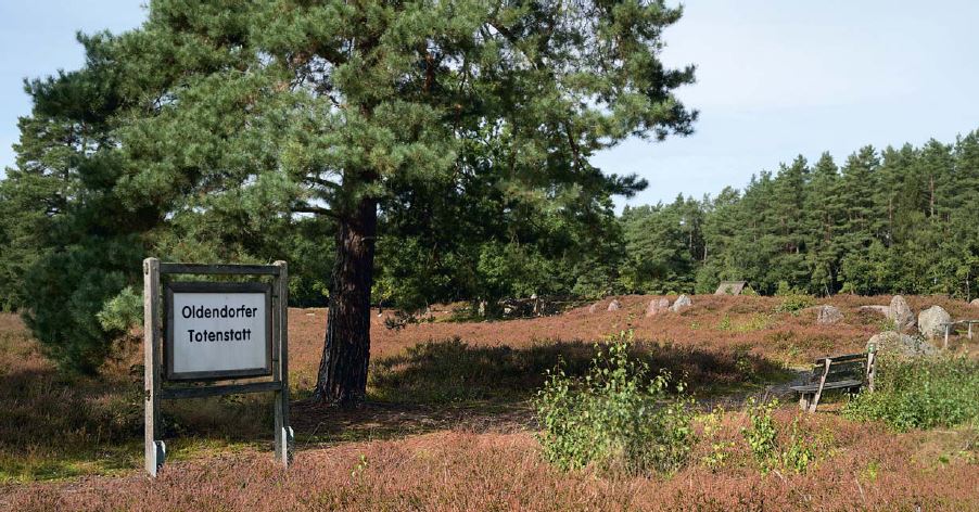 Ein Ort für die Toten: 4000 Jahre lang liente der idyllische Flecken Erde am Zufluss zwischen Lopau und Luhe als Begräbnisstätte. 