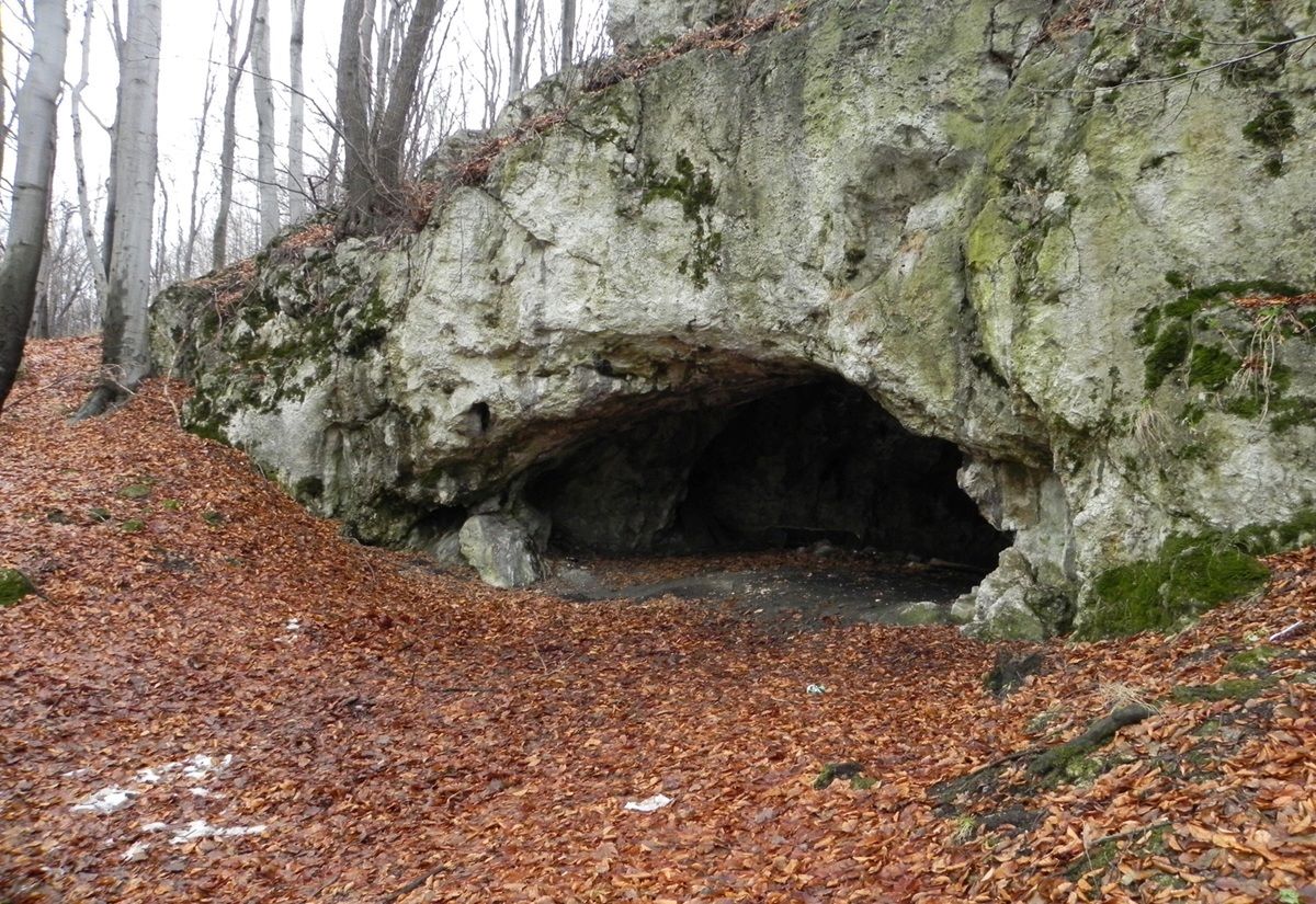 Der Eingang zur Maszycka-Höhle in Polen