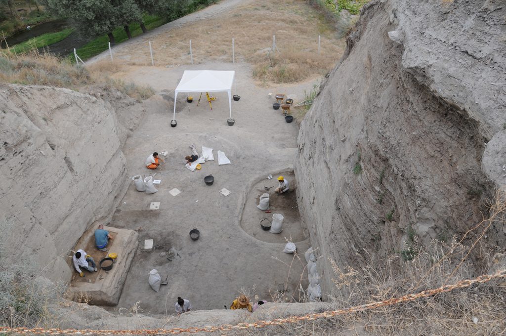 Siedlungshügel in Anatolien; Nachweis der Domestikation